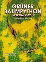 Grner Baumpython (Morelia viridis)